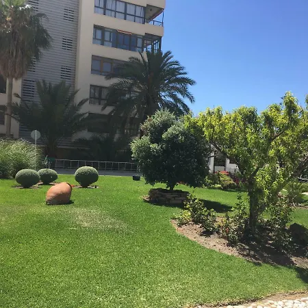 Nogalera Torremolinos